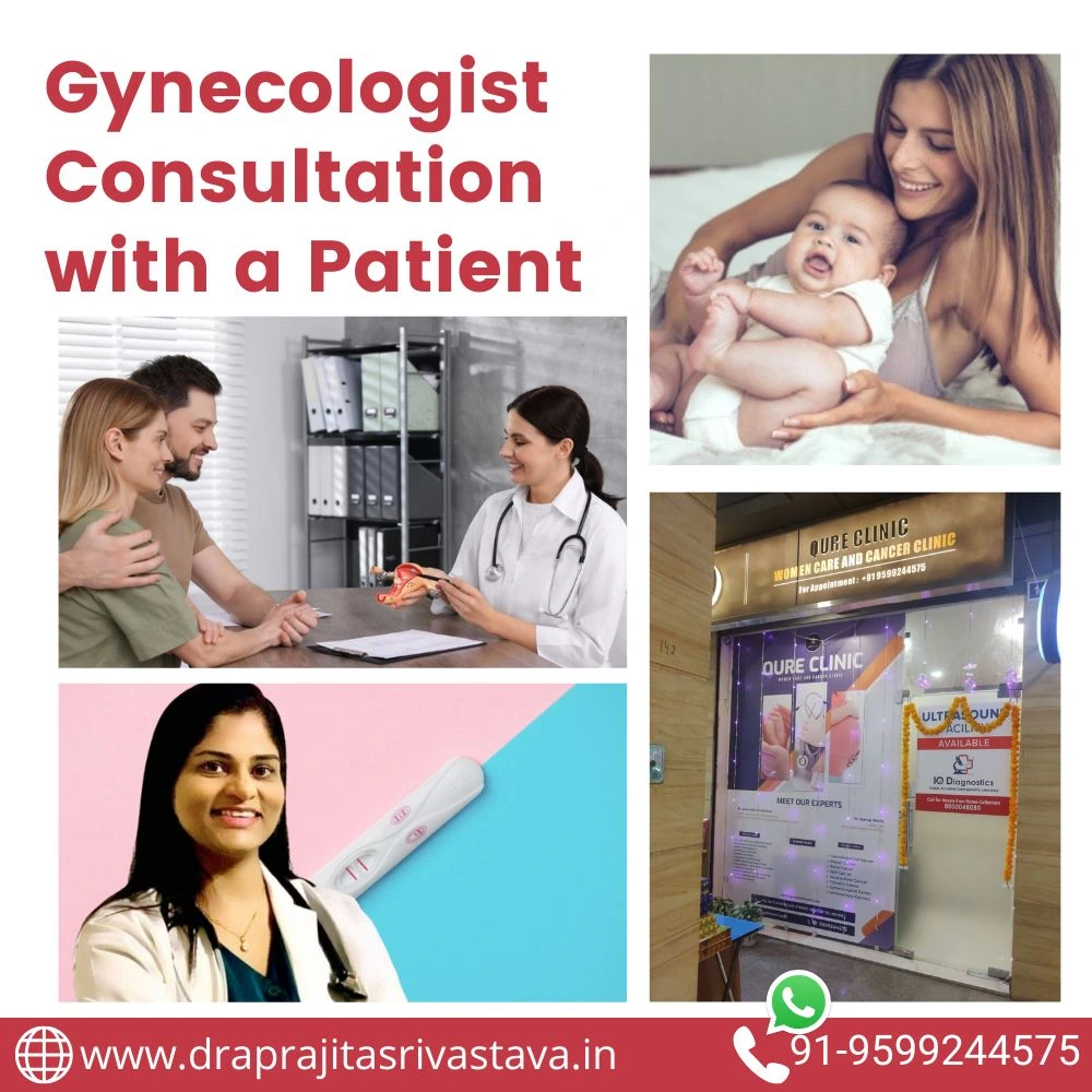 Gynecologist consultation with a female patient for health care.