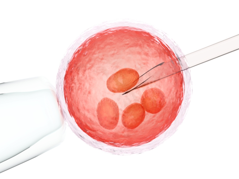 Witnessing the intricate process of in-vitro fertilization, a testament to scientific advancement and hope for families.