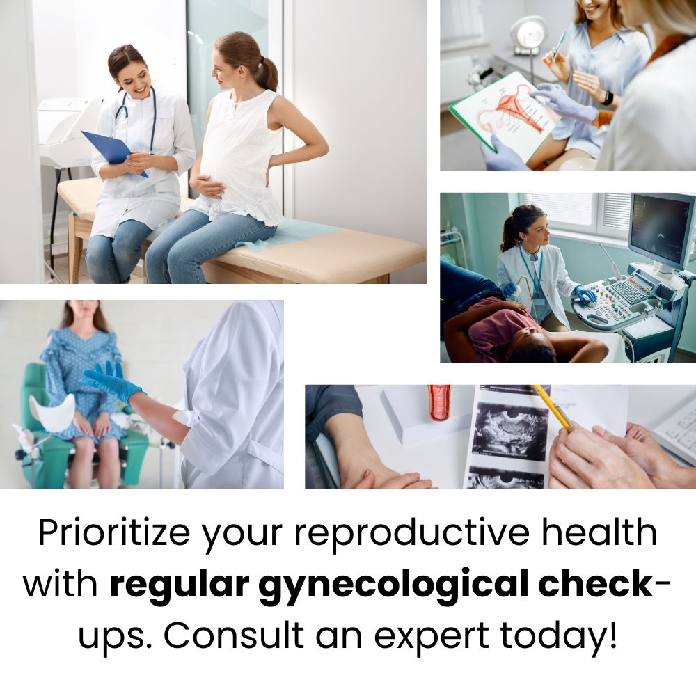 A gynecologist in Noida consulting a female patient during a routine check-up in a modern clinic.