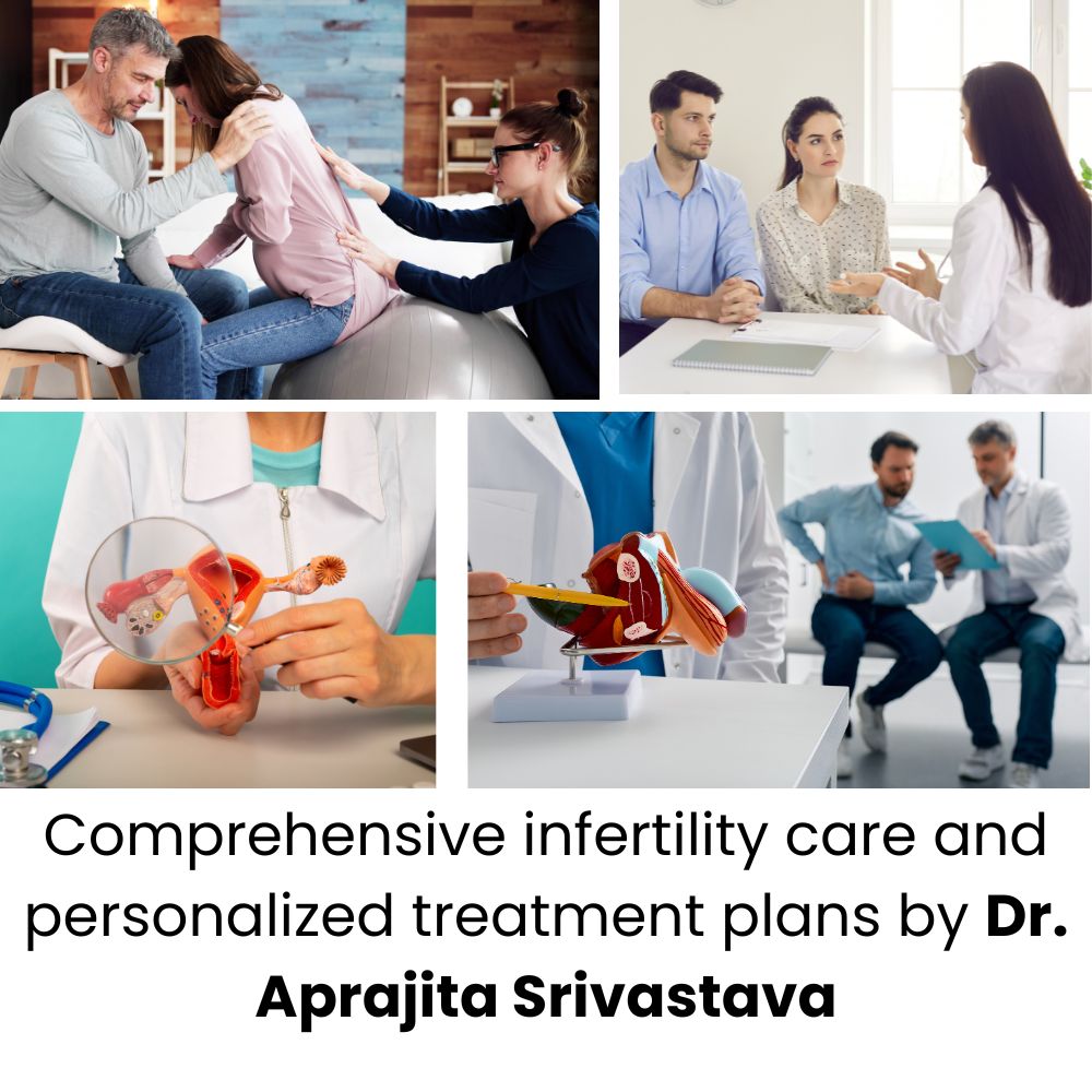 Gynecologist in Noida consulting a couple about infertility treatment in a modern clinic.