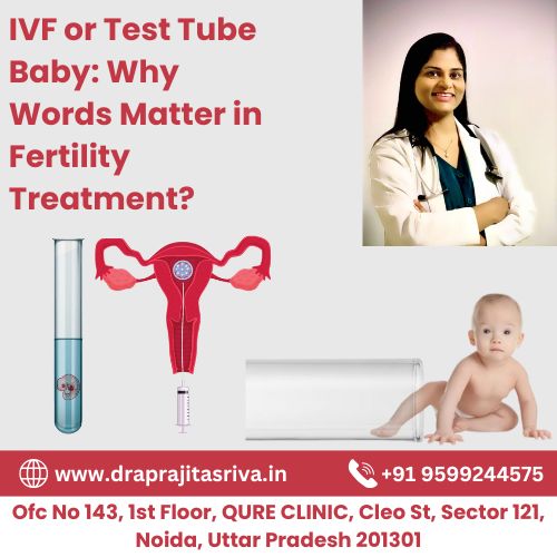 IVF or test tube baby
