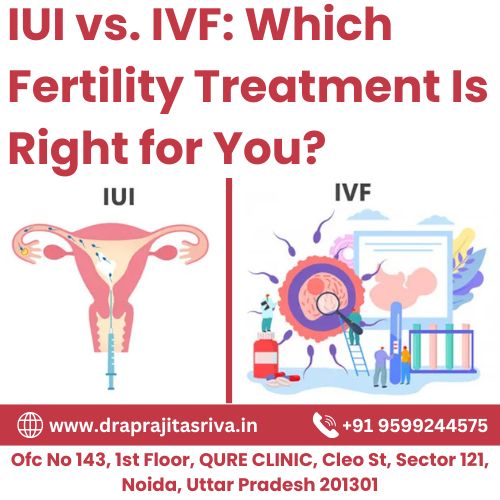 IUI vs. IVF