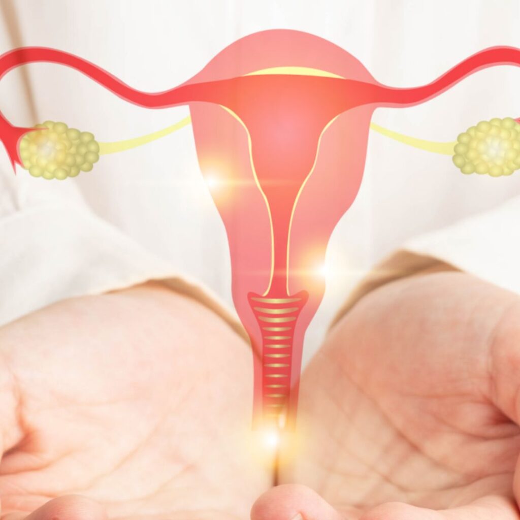 Specialist in Early Menopause Care in Noida