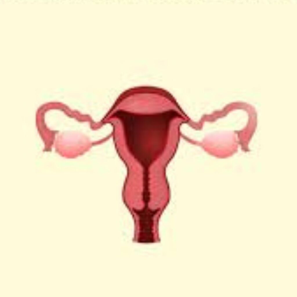 Book Cervical Cancer Screening Today