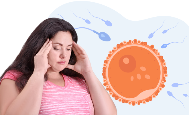 Interconnection Between Obesity and Female Infertility