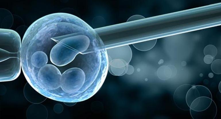 What is PGT (Preimplantation Genetic Testing) and Its Types?